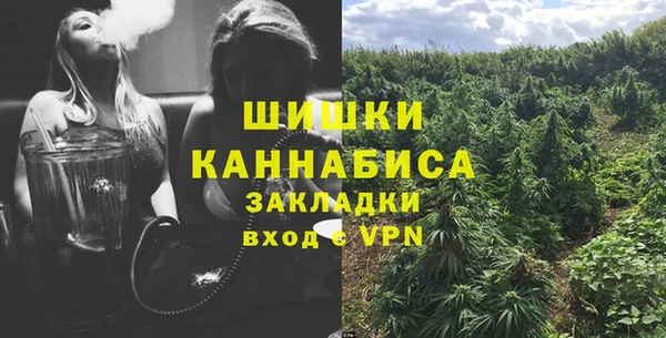 винт Армянск