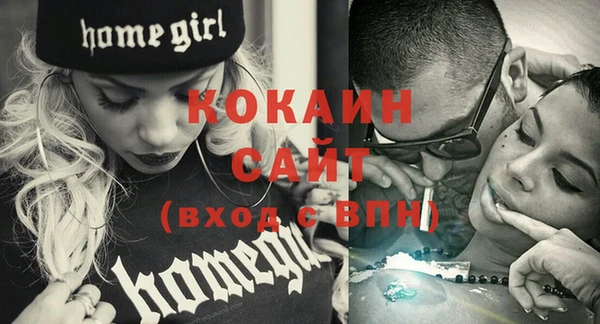 шишки Приозерск