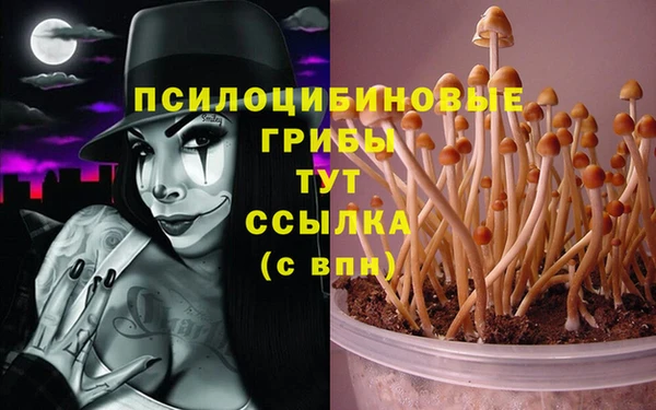 прущий лед Аркадак