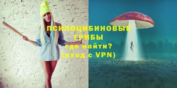 винт Армянск